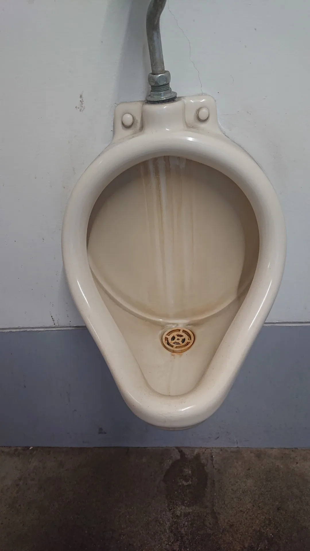 トイレ清掃